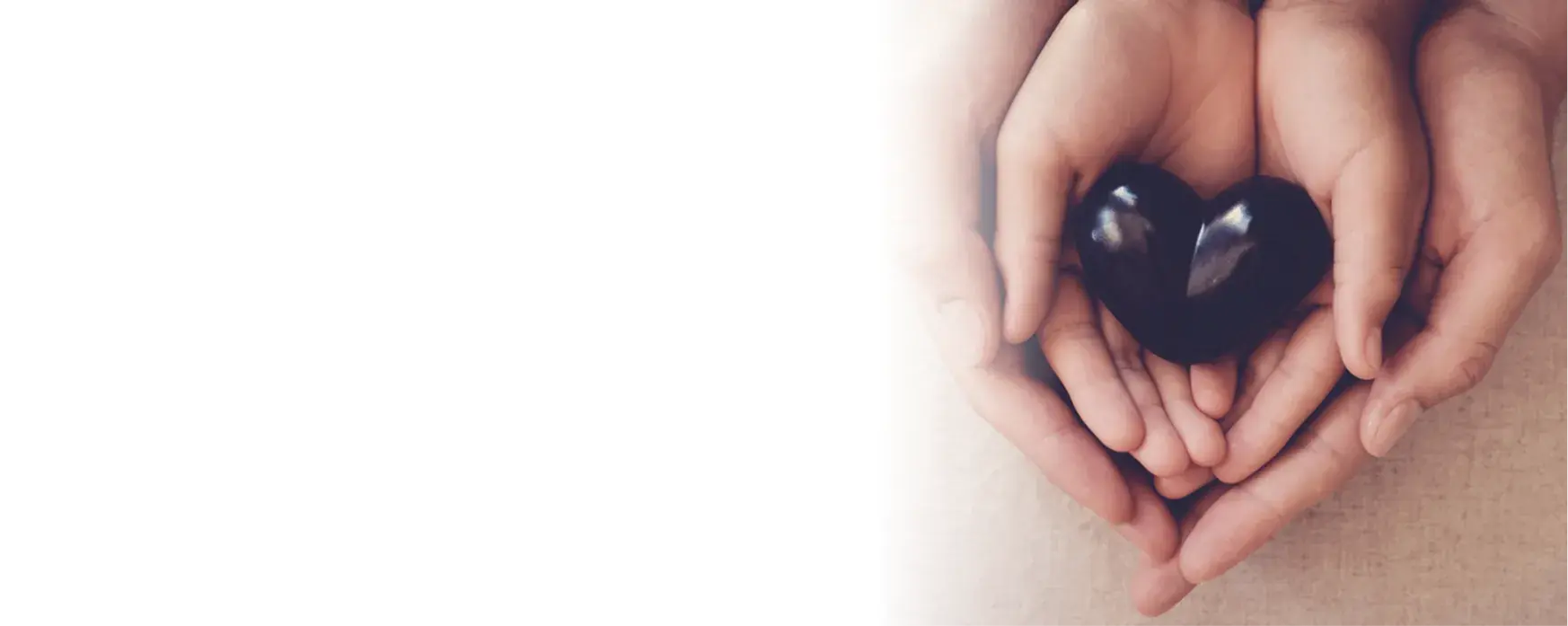 banner 1